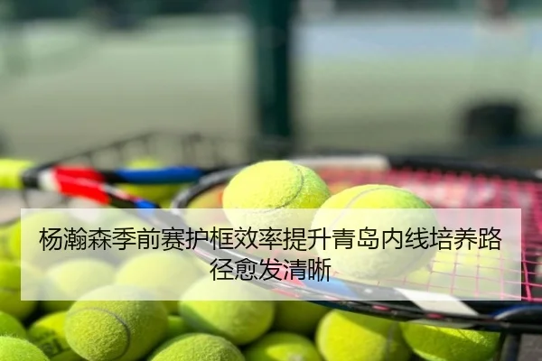 杨瀚森季前赛护框效率提升青岛内线培养路径愈发清晰